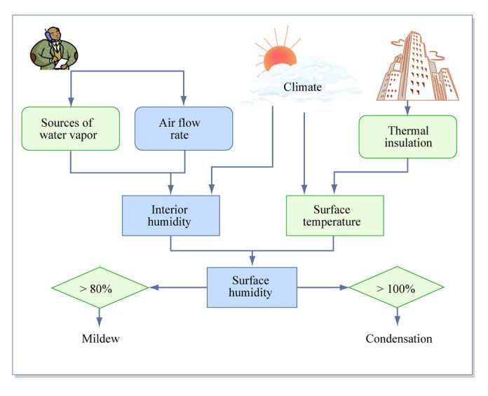 about-basement-humidity-level-with-its-causes-and-effects