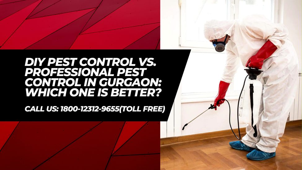 DIY pest control vs. professional Pest Control in Gurgaon: Which one is better?