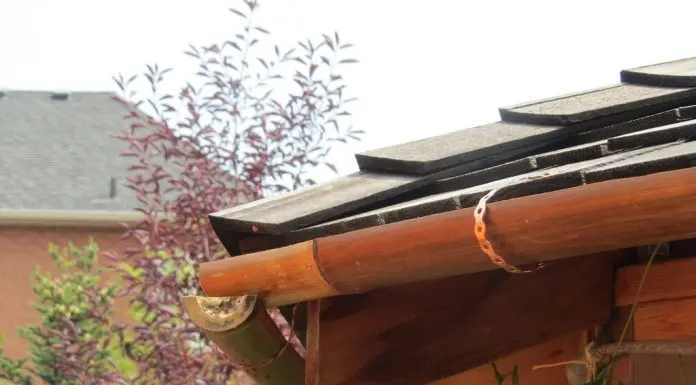 How Often Should You Clean Your Gutters? Gutters