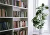 Window Shelf: Enhancing Your Home’s Aesthetic and Functionality Window Shelves