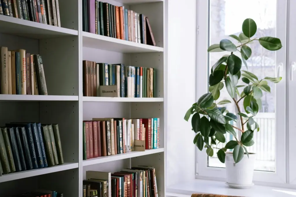 Window Shelf: Enhancing Your Home’s Aesthetic and Functionality