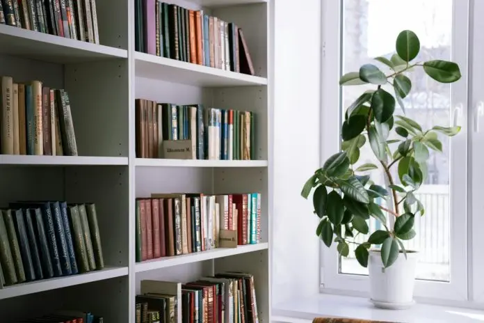 Window Shelves