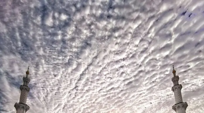 Spend 10, Gain 100: How Marble and Travertine Boost Your Home’s Value