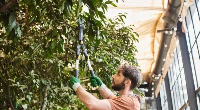 Missouri’s Trufast Tree Service Offering Services to Ravenwood HOA Area Missouri's Trufast Tree Service