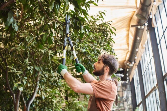 Missouri's Trufast Tree Service