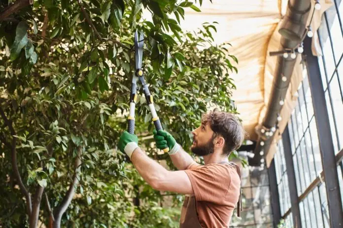 Missouri's Trufast Tree Service