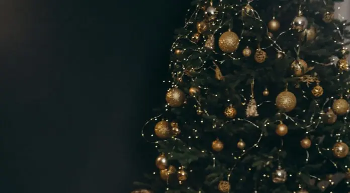 Illuminate Your Home with Permanent Christmas Lights: A Year-Round Solution Christmas Lights