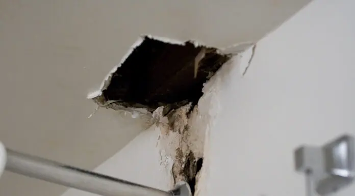 How Cibolo Residents Can Spot Hidden Signs of Water Damage in Modern Homes Signs of Water Damage