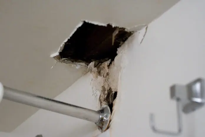 Signs of Water Damage