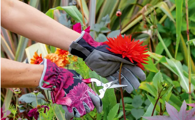 Why Regular Landscape Maintenance is Key to a Healthy Garden Why Regular Landscape Maintenance is Key to a Healthy Garden