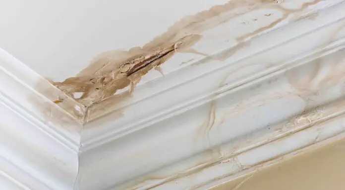 5 Signs of Hidden Water Damage in Older LA County Homes Water Damage