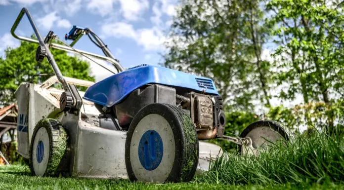 From Thicker Grass to Better Drainage: Understanding the Benefits of Lawn Aeration Lawn Aeration