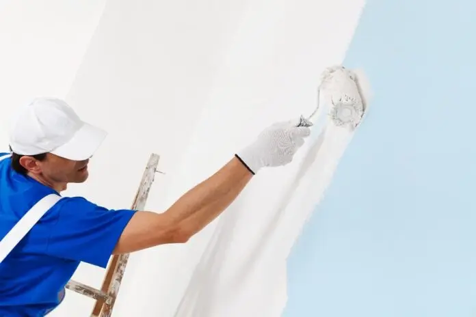 Professional Painting Contractor 