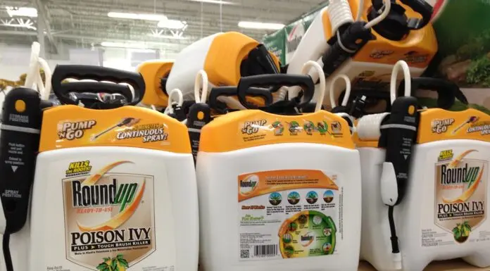 7 Natural Alternatives to Chemical Weed Killers Weed Killers