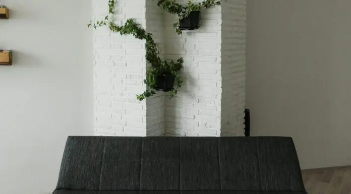 Unlock the sofa bed and embark on a diverse lifestyle in your little nest sofa bed