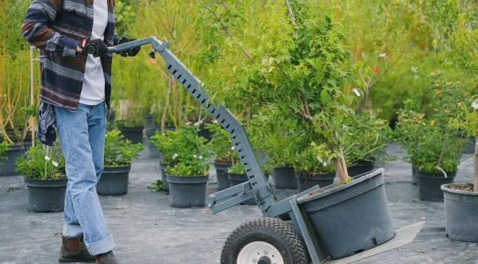 Revamp Your Outdoor Space with Expert Landscaping Solutions Landscaping