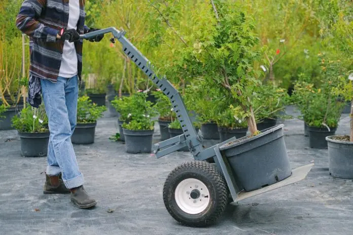 Landscaping