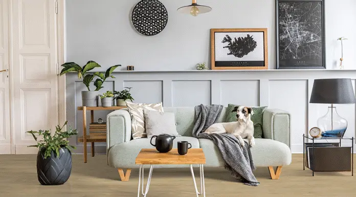 Why Interlocking Driveways Are the Best Choice for Modern Homes Interlocking Driveways