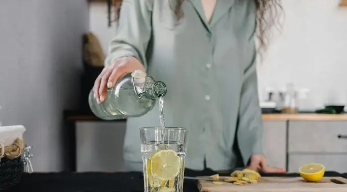 Why Home Water Filters South Africa Is Your Smartest Investment At Home? Water Filters South Africa