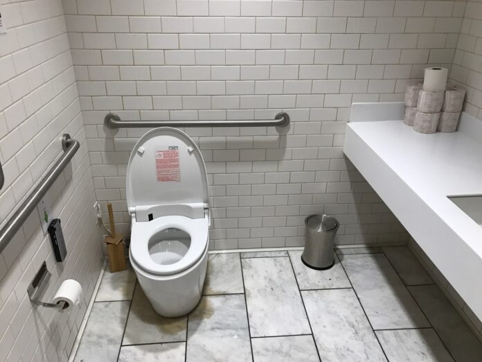 Safety Grab Bars