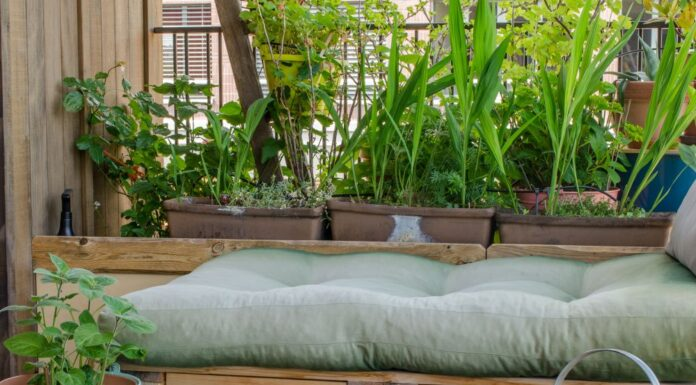 Weekend DIY Projects That Most Homeowners Actually Do Weekend DIY Projects