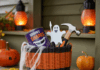Boo Basket Suggestions: Creative DIY Ideas to Delight Your Neighbors