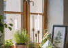 Decor Ideas for Window Sill: 20 Stylish Ways to Transform Your Windows