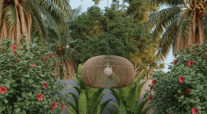 Florida Landscaping Ideas: Transform Your Outdoor Space with DIY Tips & Design Inspiration