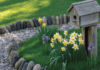 Rock Edging Ideas: Creative and Practical Ways to Elevate Your Garden Borders
