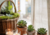 Interior Window Sill Ideas: Transform Your Windows with DIY Style & Function