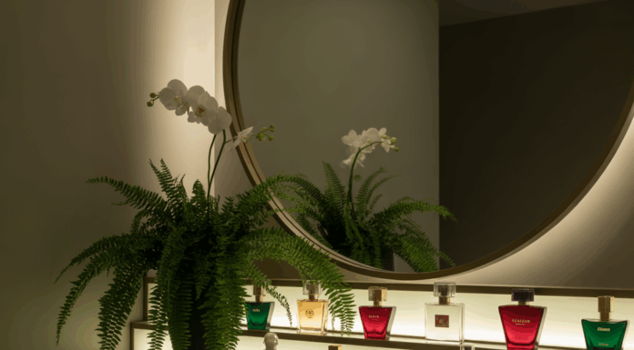 Perfume Display Ideas: Creative DIY Tips to Showcase Your Scents