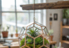 Unique Hanging Terrarium Ideas: DIY Guide to Stylish Suspended Planters