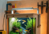 10 Gallon Fish Tank Themes: Creative Small Aquarium Ideas for Your Home