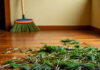How to Keep Pine Needles from Scattering All Over the Floor Pine needles