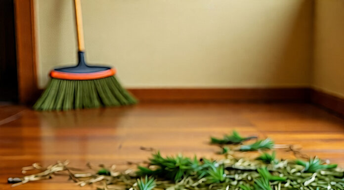 How to Keep Pine Needles from Scattering All Over the Floor Pine needles