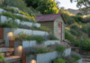 Creative Ideas for Gardening on Slopes: DIY Terraces, Erosion Control & Planting Plans