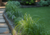Liriope Border Concepts: Easy DIY Ideas for Low-Maintenance Edging