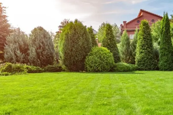 How to Keep Your Lawn Green During Florida’s Dry Season 