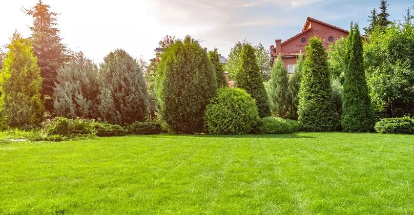 How to Keep Your Lawn Green During Florida’s Dry Season 